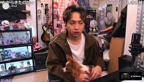 どんちゃん、真の由来