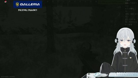 ヘッショられ確認