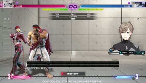 ネコワカ「当たり判定はかわいさで決まる（意訳）」