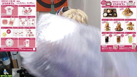 Preview 480x272 2047