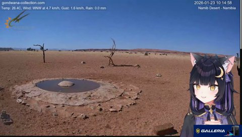 よしなまが夢に出てきたよいち