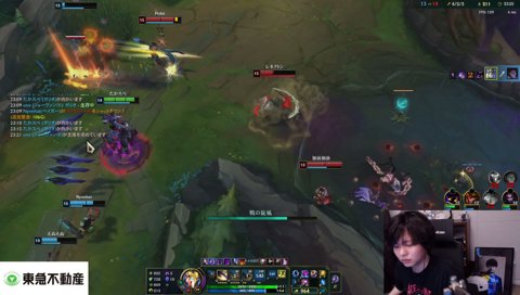 ねこたつの師匠