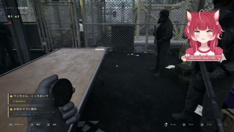 きんもーだよー