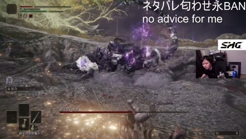 あ！ちょうちょ！