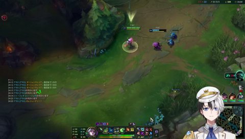 見敵必殺！負けたジャングルに居場所無し