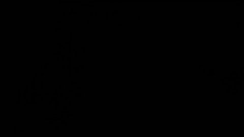 Preview 480x272 2616