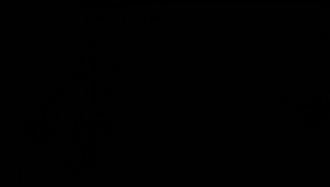 ビックボイスシャウト山本