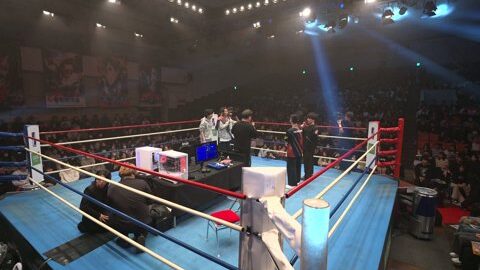 Preview 480x272 2799