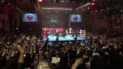 Preview 480x272 2906