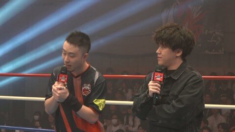 Preview 480x272 2974