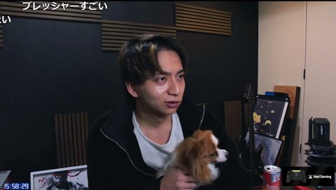 芸術系配信者にしたいけんき