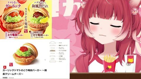 Preview 480x272 3267