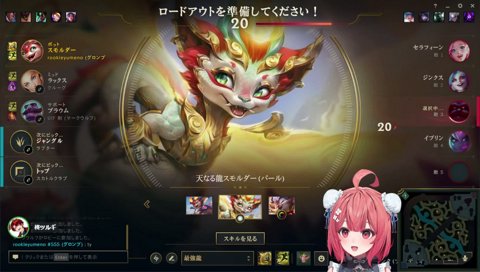 ツルギ7歳のとき使ってたチャンプ