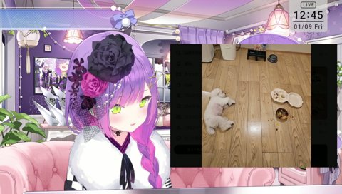 愛犬で笑ってくれるトワ様