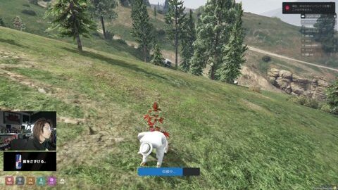 Preview 480x272 1260