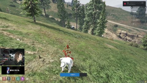 かずのこに吹く釈迦