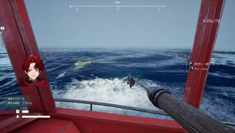 ゴールデンエイ捕獲