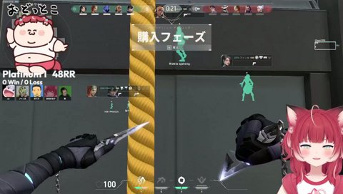 褒めても否定しても一緒なかるび