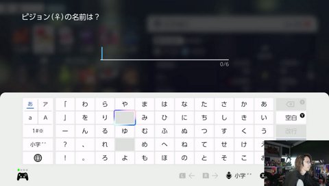 ビックバード命名
