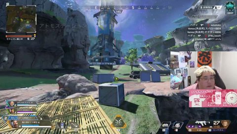 生粋のはちみつ狩り