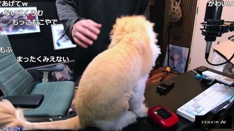 Preview 480x272 2462