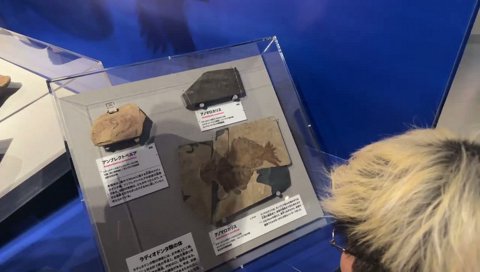 アノマロカリス