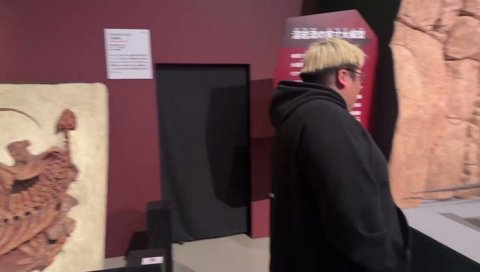 エアコンザウルスことディメトロドン