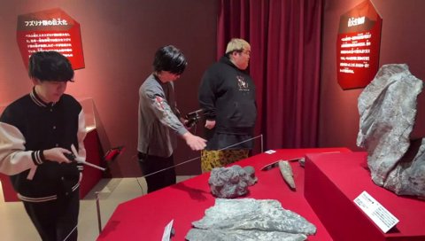 岐阜県産ニッポノマリア