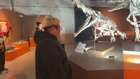 ARK新恐竜のクリオロフォサウルスの骨格