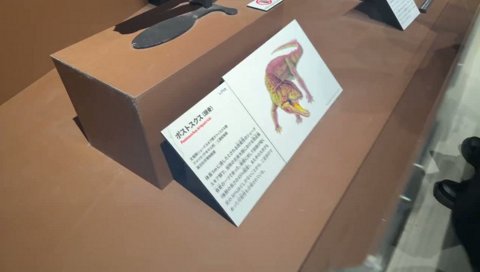 歩き方かわいいザウルス