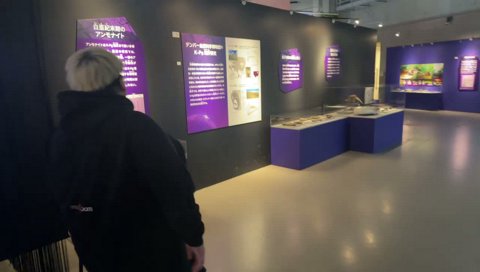 シファクティヌスでっかぁ