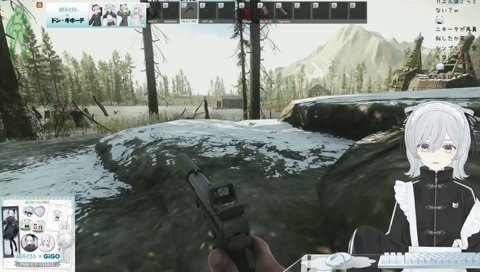 アヒルおらずカエルがいるかもです