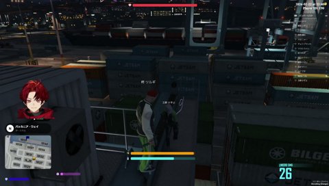 静止画になったツルギ