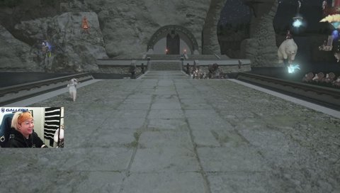 いかつくてかっこよいバーサーカーらしいです