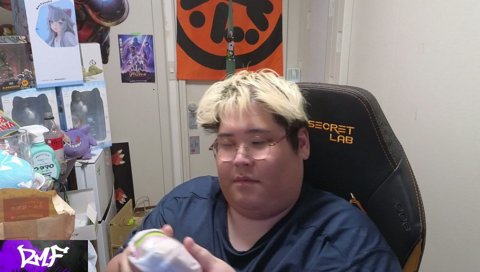 マックポークを二口で