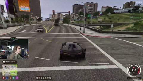 猫轢いちゃったwww