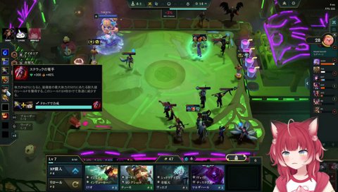 たぬきファイトタクティクス チーム練習！開始！明日本番！