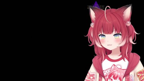 【ぽまいら】　かるびﾁｬﾝ🐮ががちゃがちゃきゅーと♡になったと聞いて　… 🫲😍🫱軌跡のカプセル引き当てて😤☝️エンジェル👼な素体 実体 実物大 磨いて✨か↑け↓て↑愛でるじょ〜😖💦