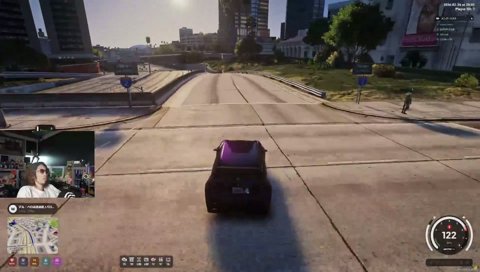 やっぱなんかいたよね