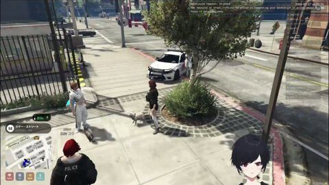 Preview 480x272 5955