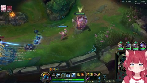 【見捨てるのが早いかるび】　アムム来た！　ｷｬｰ！　　「行ける行ける　　にゃー！」　助ける！　「あー　無理かもー」　じゃあ捨てる！　あー！　でも私が！