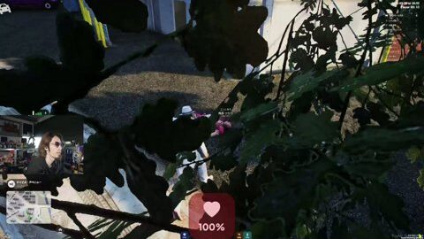 Preview 480x272 6364