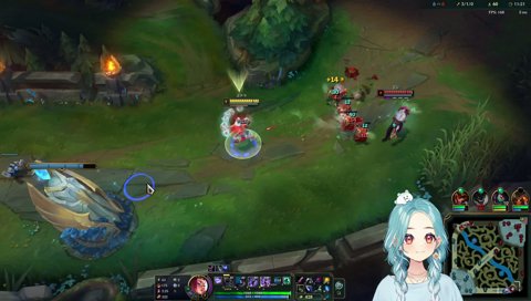 ソロキル委員会提出資料②