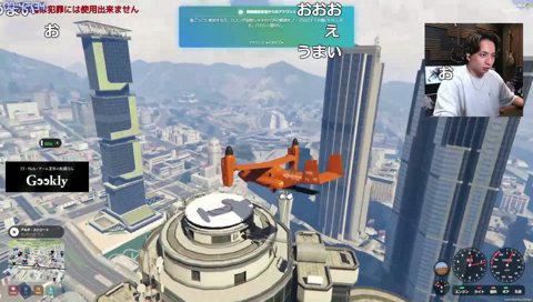 レグの曲芸飛行