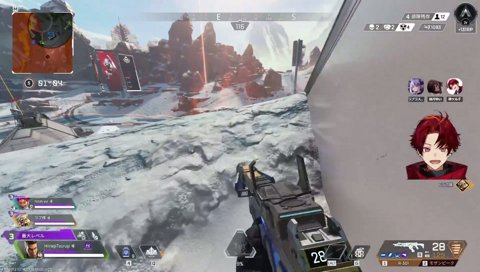 アキンボで神エイム