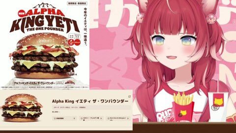 Thumb 0000000000 480x272 1339