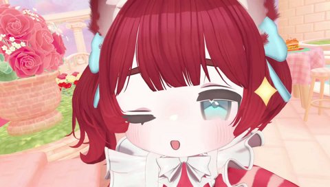 【色々な表情】　（-o・）⌒✨（☆ω☆）（˶⌒ᗜ⌒˶）（＞ω＜）（￣-‹￣）