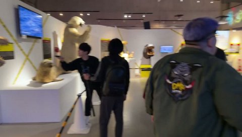 世界最大のワニ