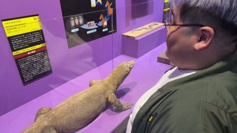 Thumb 0000000000 480x272 2449