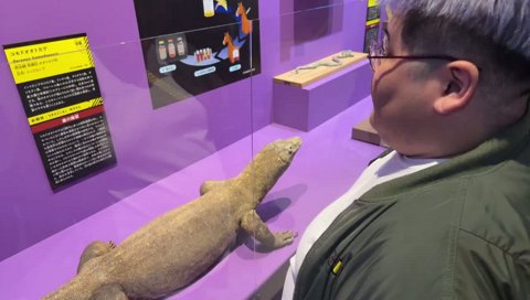 野生のコモドオオトカゲを見たことある恭一郎